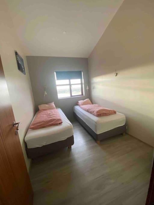 Eaglerock Guesthouse And Tours Kirkjubaejarklaustur Ngoại thất bức ảnh